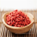 China Dried bulk Goji Berry medlar fruits for sale